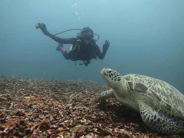 Manta Dive - Dive Center in Indonésie