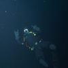 Picture taken during the dive