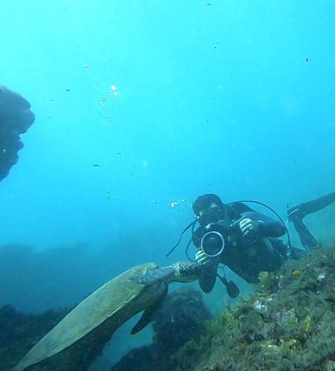 Noronha Divers - Dive Center in Brésil