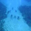 Picture taken during the dive
