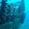 Picture taken during the dive