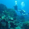 Picture taken during the dive