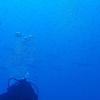 Picture taken during the dive