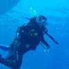 Picture taken during the dive