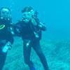 Picture taken during the dive