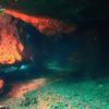 Picture taken during the dive