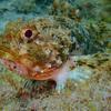 Picture taken during the dive