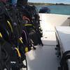 Picture taken during the dive