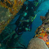 Picture taken during the dive