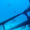 Picture taken during the dive