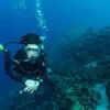Picture taken during the dive