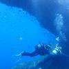 Picture taken during the dive