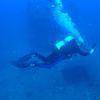 Picture taken during the dive