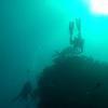 Picture taken during the dive