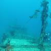 Picture taken during the dive