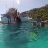 Picture taken during the dive