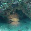 Picture taken during the dive