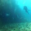 Picture taken during the dive