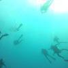 Picture taken during the dive