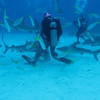 Picture taken during the dive