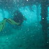 Picture taken during the dive