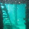 Picture taken during the dive