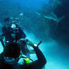 Picture taken during the dive