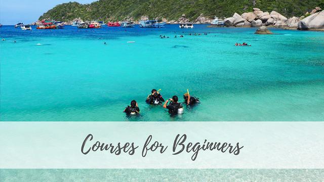 Master Divers - Dive Center in Thailand