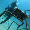 Picture taken during the dive