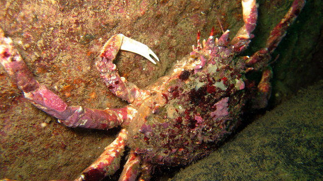 SAL Diver Training - Dive Center in United Kingdom