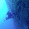 Picture taken during the dive