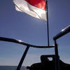 Picture taken during the dive