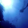Picture taken during the dive
