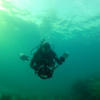 Picture taken during the dive