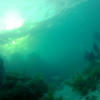 Picture taken during the dive