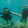 Picture taken during the dive