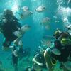 Picture taken during the dive