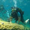Picture taken during the dive
