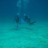 Picture taken during the dive