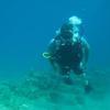 Picture taken during the dive