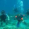 Picture taken during the dive
