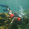 Picture taken during the dive