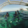 Picture taken during the dive